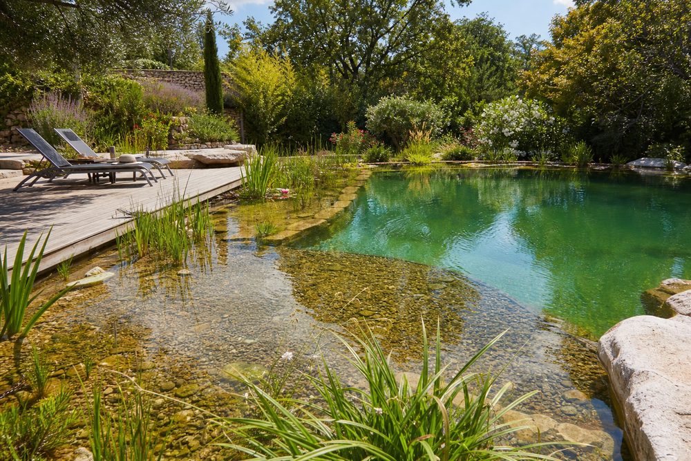 Piscine naturelle à Nîmes